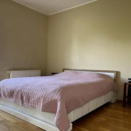 Avar Ja Hubane Korter Rohealaga Karlovas *